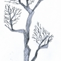 Vector_tree02